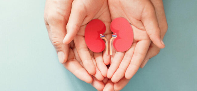 Donating a Kidney can save a life