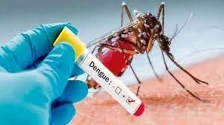 Dengue cases surge in Delhi, over 400 new infections recorded in a week Dengue cases surge in Delhi, over 400 new infections recorded in a week