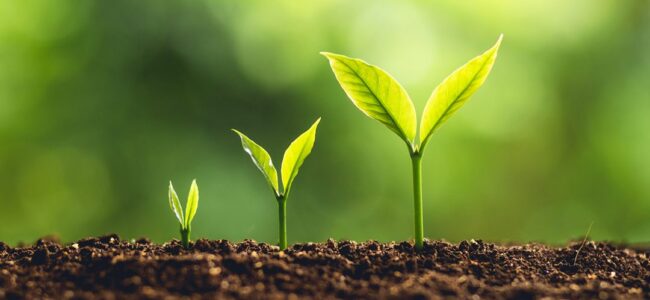  Soil sustains life