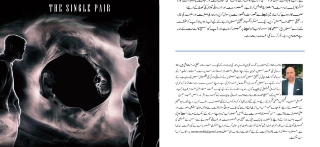 Book Review of ‘Wahid Joda’ (The Single Pair)