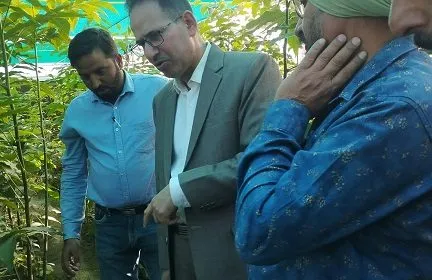 Director Horticulture visits FPN Zangam Pattan Director Horticulture visits FPN Zangam Pattan