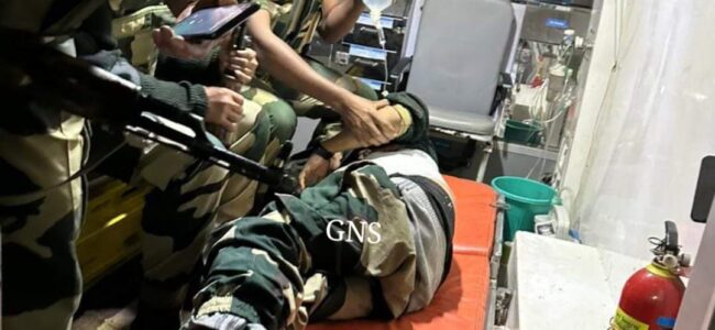 BSF personnel injured in unprovoked firing by Pak rangers along IB in Jammu