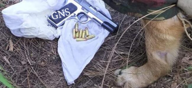 Arms, ammunition recovered during searches in Rajouri Arms, ammunition recovered during searches in Rajouri