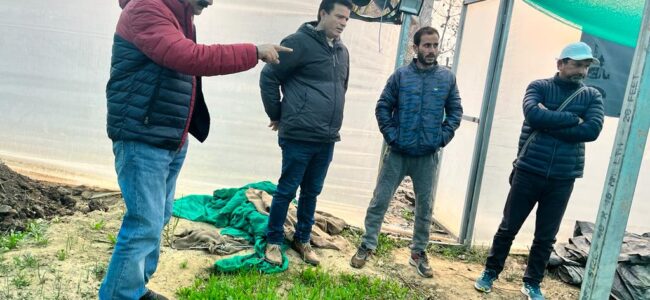 Director Agriculture interacts with Vegetable Growers in Pampore Director Agriculture interacts with Vegetable Growers in Pampore