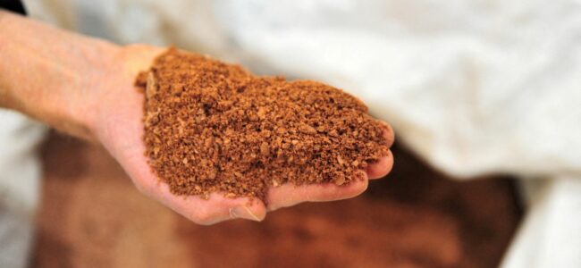 Scientists develop ‘Electronic soil’ that enhances crop growth Scientists develop ‘Electronic soil’ that enhances crop growth