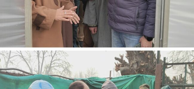 Director Agri. visits different Srinagar areas Director Agri. visits different Srinagar areas