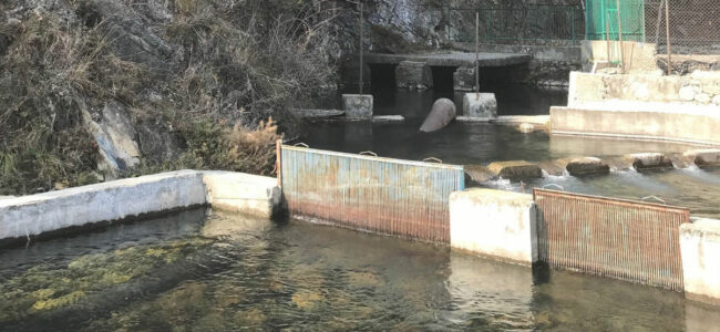 Loosing life-giving water sources