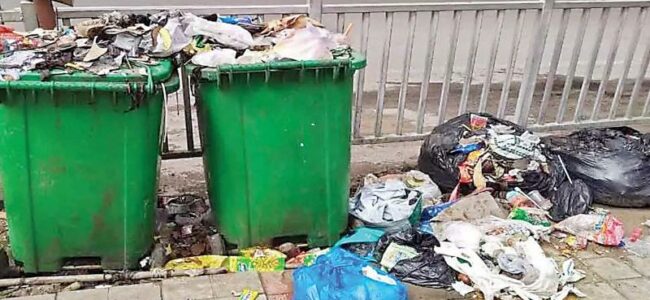 Dustbins installed in Tral, but not being cleared: Locals