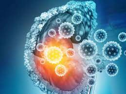 Alarming rise in Cancer cases across Kashmir sparks health crisis concerns Alarming rise in Cancer cases across Kashmir sparks health crisis concerns