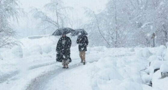 Kashmir to experience more snow as fresh western disturbance to hit the region on Feb 1