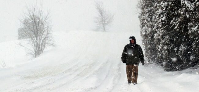 Snowfall in Valley: A winter wonderland