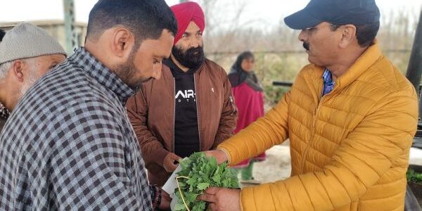 Director Agriculture visits SMF Tapper Kreeri, Floriculture farm