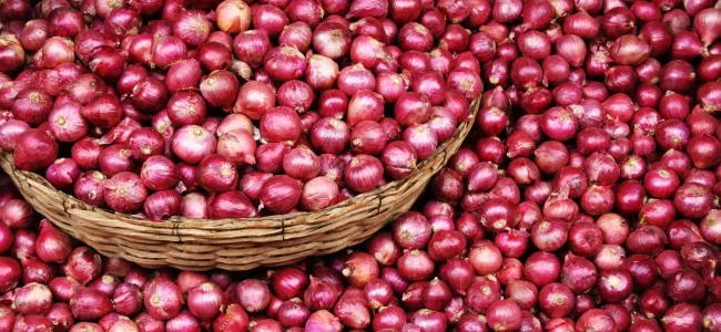 Climate change pushed onion, potato prices in India up by over 80 pc in 2024: Study