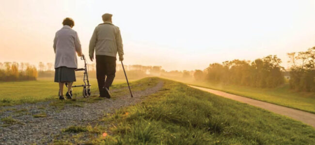 Aging Population and Intergenerational Gaps