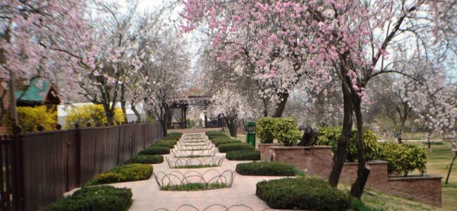 Spring: The new beginning