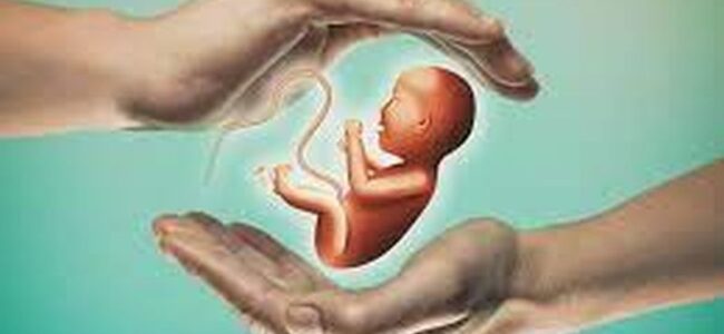 India’s fertility rate down from 6.2 to under 2 since 1950: Lancet Study India’s fertility rate down from 6.2 to under 2 since 1950: Lancet Study
