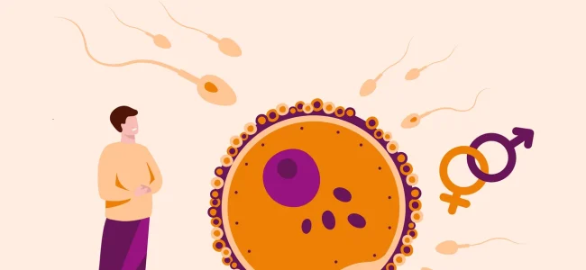 Study finds infertility in men tied to higher family cancer risk
