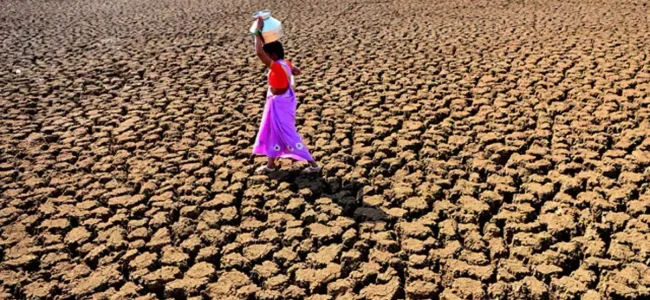 Confronting the Global Water Crisis