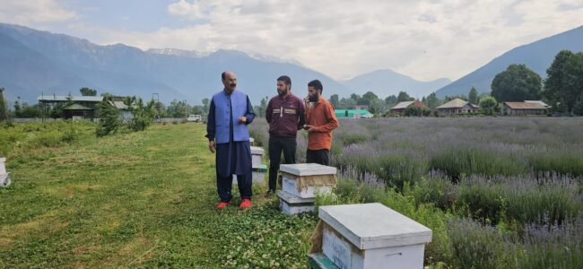 Director Agriculture visits Model Lavender Centre Nunner Ganderbal