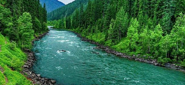 Saving Kashmir’s Environment for future