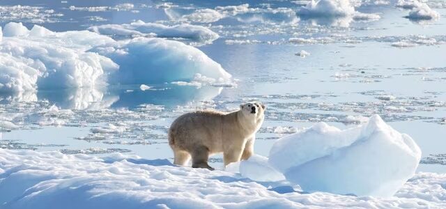 1 in next 5 years will breach 1.5 degrees Celsius climate threshold: WMO 1 in next 5 years will breach 1.5 degrees Celsius climate threshold: WMO