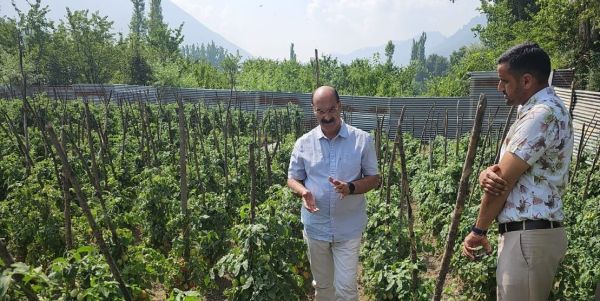 Director Agriculture visits Harwan area, interacts with farming community Director Agriculture visits Harwan area, interacts with farming community