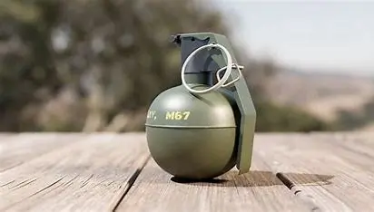 Old grenade found in Kargil, defused
