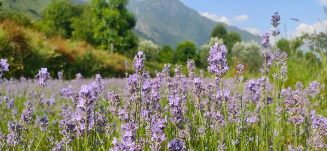 Govt working on integrated farming models: Union Minister