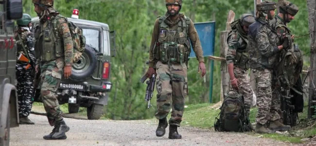 Terrorist killed along LoC in Rajouri identified as LeT launching operative