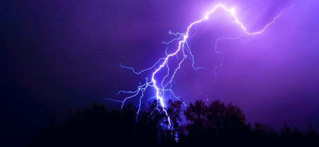 Over 60 sheep, goats killed in lightening strike in Pahalgam
