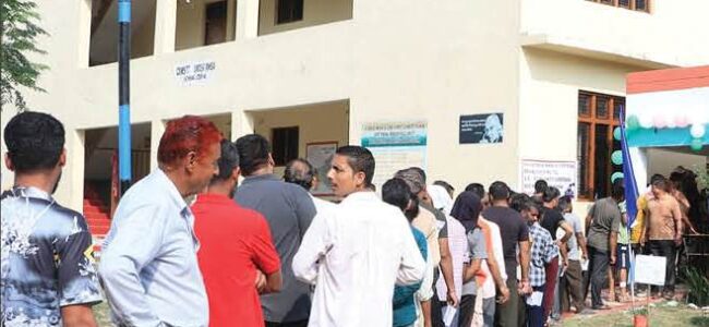 Assembly election 2024: 56.01 % polling recorded in all 40 assembly constituencies till 3 PM