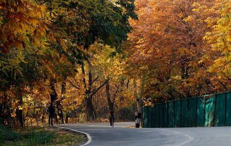Kashmir Valley: A Seasonal Tapestry of Cultivation and Tradition