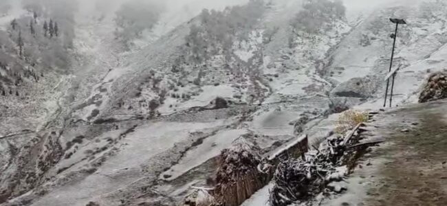 Fresh snowfall in higher reaches of Kashmir