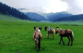No buildings, hotels to be constructed in Bungus Valley: Govt