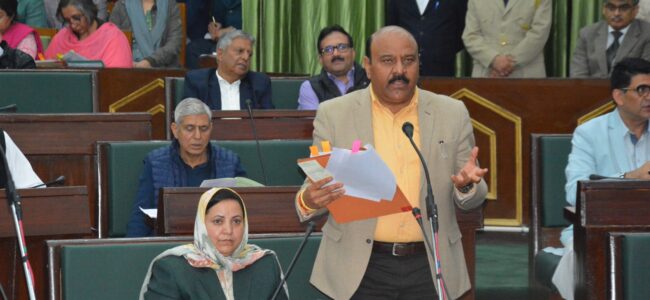 Unemployment rate in J&K above national average: Dy CM