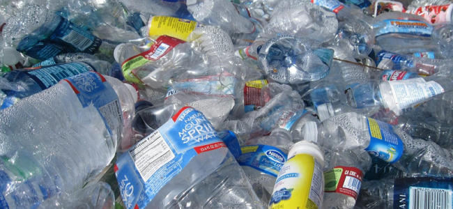 Reckless waste disposal, poisonous substances threaten aquatic life in water bodies