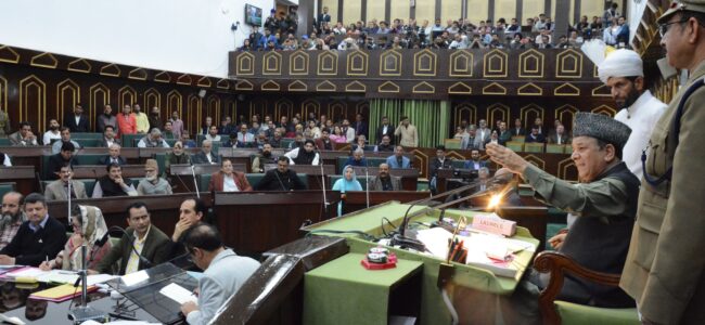 MLAs propose around 8,000 works for 2025-26