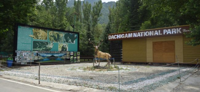 J&K tops in protected areas management: Govt