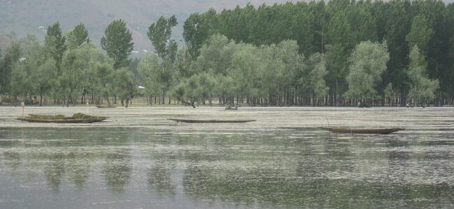 11 families shifted from Bandipora village as water level rises in Wular Lake