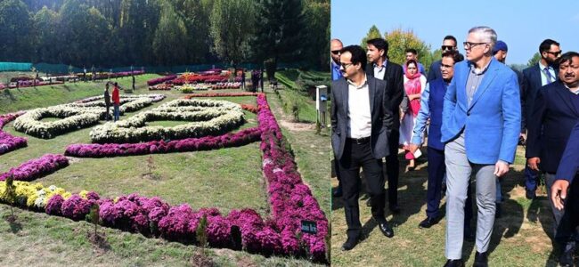 CM inaugurates Kashmir’s First Chrysanthemum Theme Garden