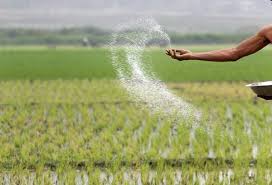 Kashmir farmers, fruit growers demand adequate stock of fertilizers