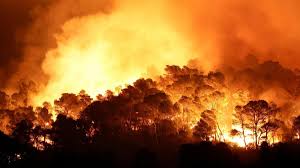 Heatwaves, wildfires, droughts and storms cost world more than USD 120 billion in 2025: Report
