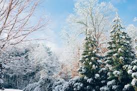 Carols in the Cold: How Christmas Preparations Warm Kashmir’s Winter Soul Carols in the Cold: How Christmas Preparations Warm Kashmir’s Winter Soul