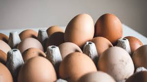 Egg samples in Srinagar found safe, meet food safety standards: Officials