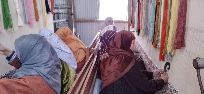 Handicraft Dept launches skill training under SAMARTH to revive carpet weaving in Kashmir