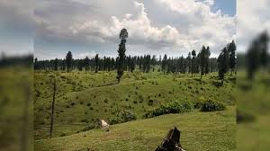 Vanishing Greens: J&K’s Forests Shrink as Climate, Concrete Close In Vanishing Greens: J&K’s Forests Shrink as Climate, Concrete Close In