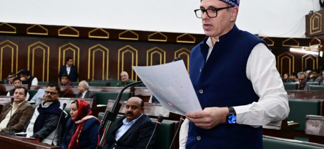 Over 1.52 lakh stray dogs in J-K urban areas, over 64000 in Srinagar: CM