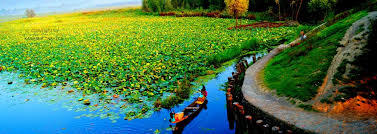 Green Push Gains Ground: J&K Bets on Forests, Wetlands and Climate Planning Green Push Gains Ground: J&K Bets on Forests, Wetlands and Climate Planning