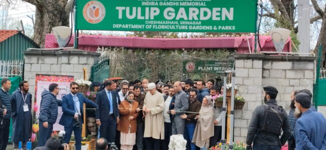 Govt aiming to end Dutch Tulip Bulb dependency: CM Omar