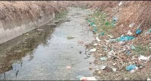Neglect turns Pazalpora irrigation canal into dumping ground, farmers cry for help